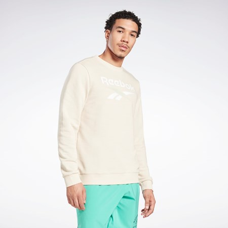 Reebok Reebok Identity Big Logo Crew Stucco | 47BJHQVMG