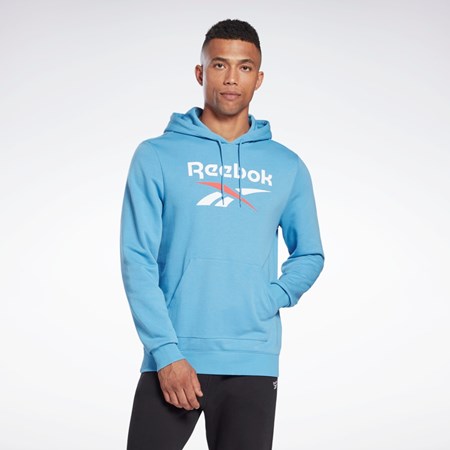 Reebok Reebok Identity Big Logo Hoodie Azules | 80UOBLIRD