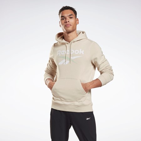 Reebok Reebok Identity Big Logo Hoodie Stucco | 62FVIJCWY