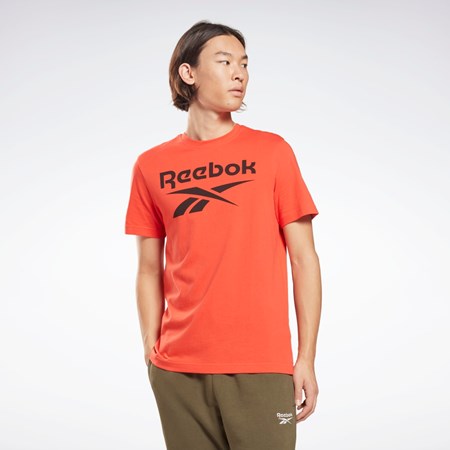 Reebok Reebok Identity Big Logo T-Shirt Rojas | 03CHMYOKR