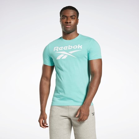 Reebok Reebok Identity Big Logo T-Shirt Semi Classic Teal | 05QOLXMJA
