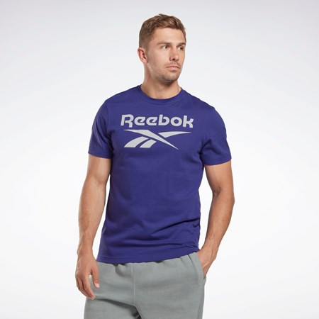 Reebok Reebok Identity Big Logo T-Shirt Moradas | 30BYUATHG