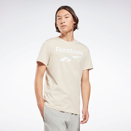Reebok Reebok Identity Big Logo T-Shirt Stucco | 46ZJYBUCH