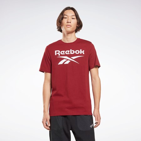 Reebok Reebok Identity Big Logo T-Shirt Burdeos | 71HCQOIXN