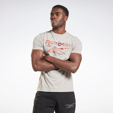 Reebok Reebok Identity Big Logo T-Shirt Gris | 92XCWBPJT