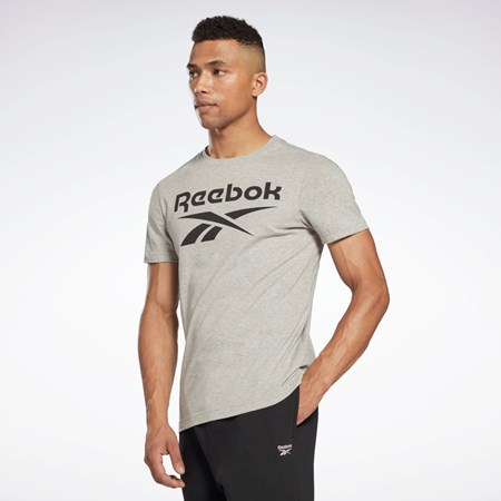Reebok Reebok Identity Big Logo T-Shirt Gris | 94FOTMXBS