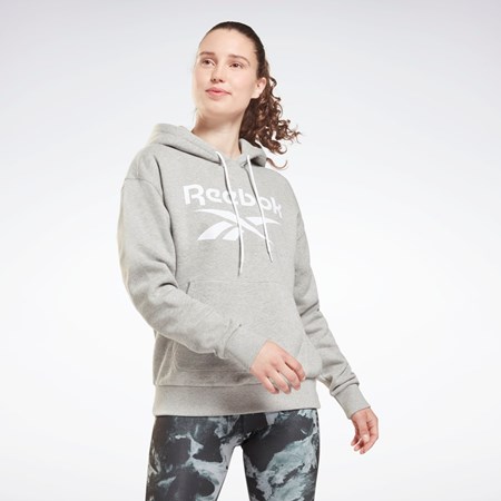 Reebok Reebok Identity Logo Fleece Pullover Hoodie Gris | 60EHTADFR