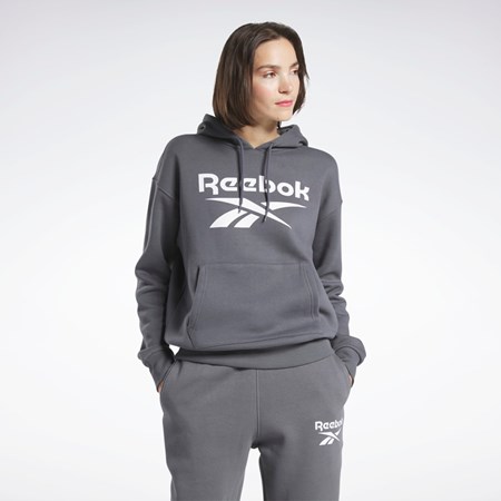 Reebok Reebok Identity Logo Fleece Pullover Hoodie Gris | 74TQIJOKU