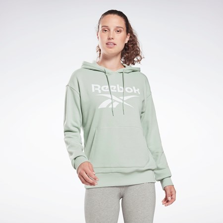 Reebok Reebok Identity Logo French Terry Hoodie Verde Menta | 76DUHATCL