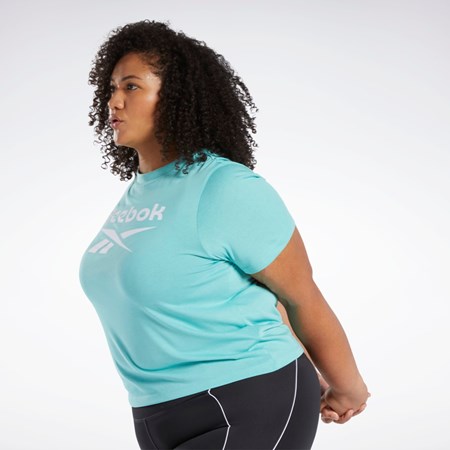 Reebok Reebok Identity T-Shirt (Plus Size) Semi Classic Teal | 79CZLMETF