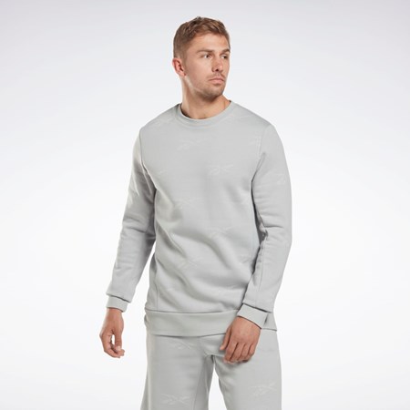 Reebok Reebok Identity Vector Fleece Crew Sweatshirt Gris | 51TNFXOJY