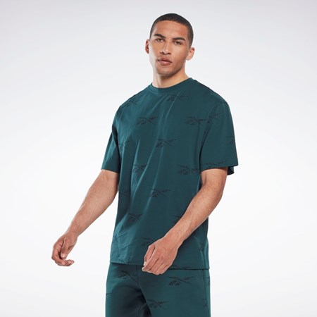 Reebok Reebok Identity Vector T-Shirt Verde | 25BKNIUWS