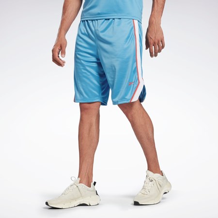 Reebok Workout Ready Mesh Shorts Azules | 32KTPIQOD