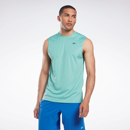 Reebok Workout Ready Sin Manga Tech T-Shirt Semi Classic Teal | 40BQTAOFD