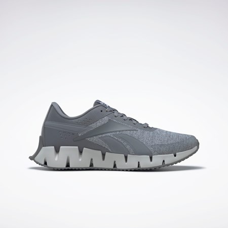 Reebok Zig Dynamica 2 Shoes Gris Gris Gris | 09GHTRDEL